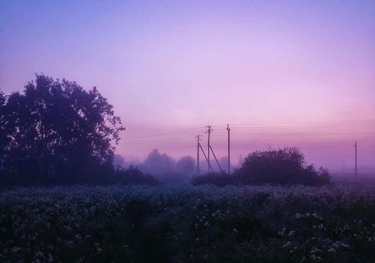 开云-浙江队新帅卡内达：足球是控制性强的且有速度的